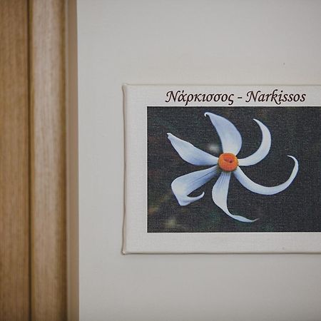 Z Boutique Hotel Panormos  Room photo