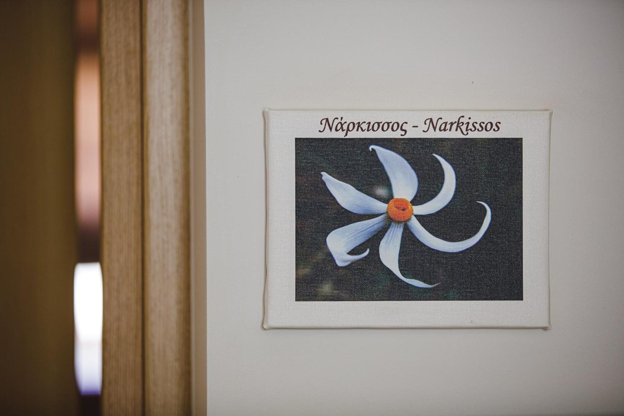 Z Boutique Hotel Panormos  Room photo